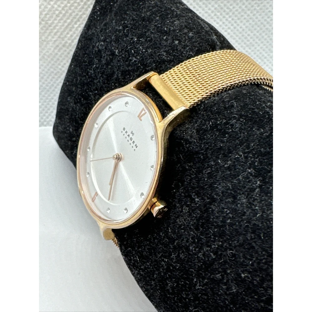 Skagen SKW2151 Womens Stainless Steel Mesh Analog Dial Quartz Wrist Watch AEA290